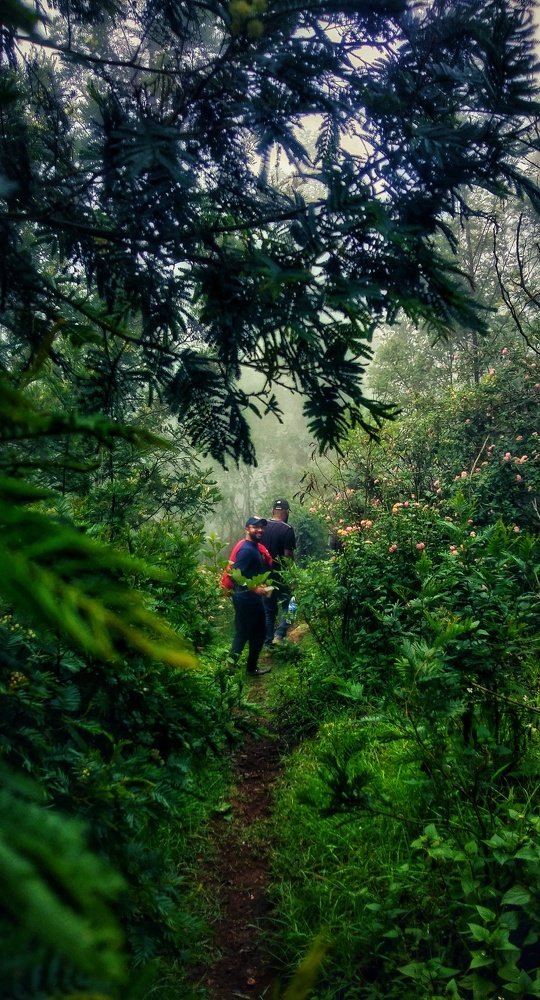 Photograph by Vineej Somanathan