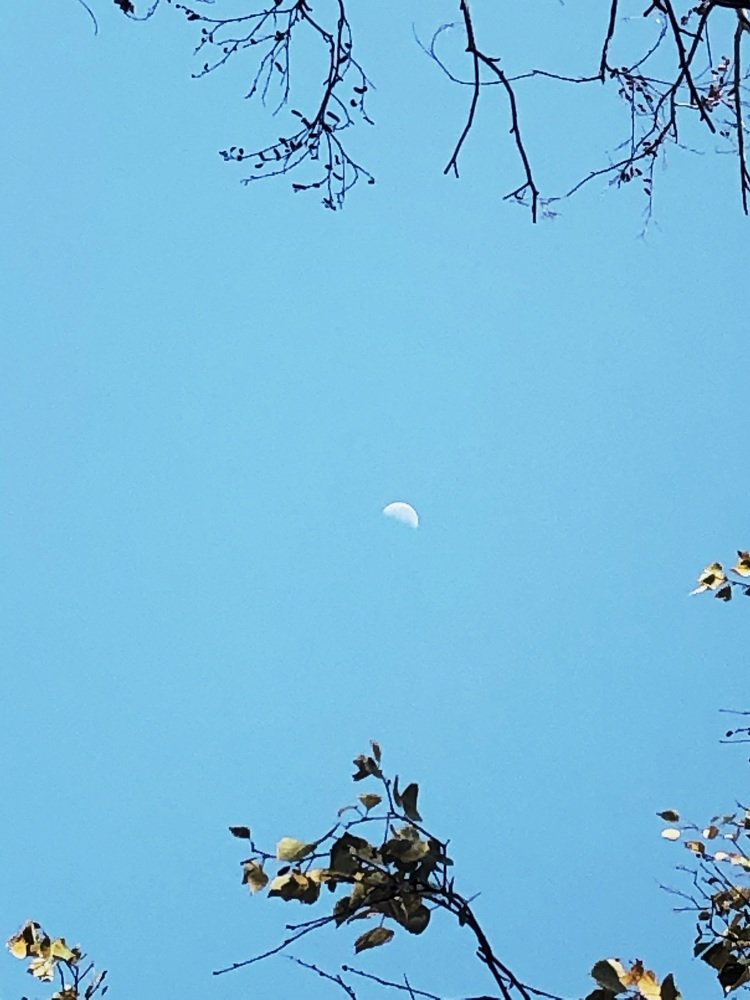 Photograph by Ilyas Adilbayev