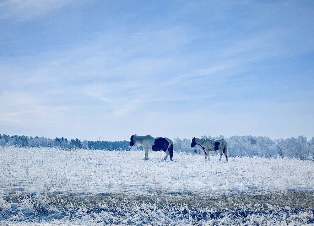 Photograph by Ilyas Adilbayev