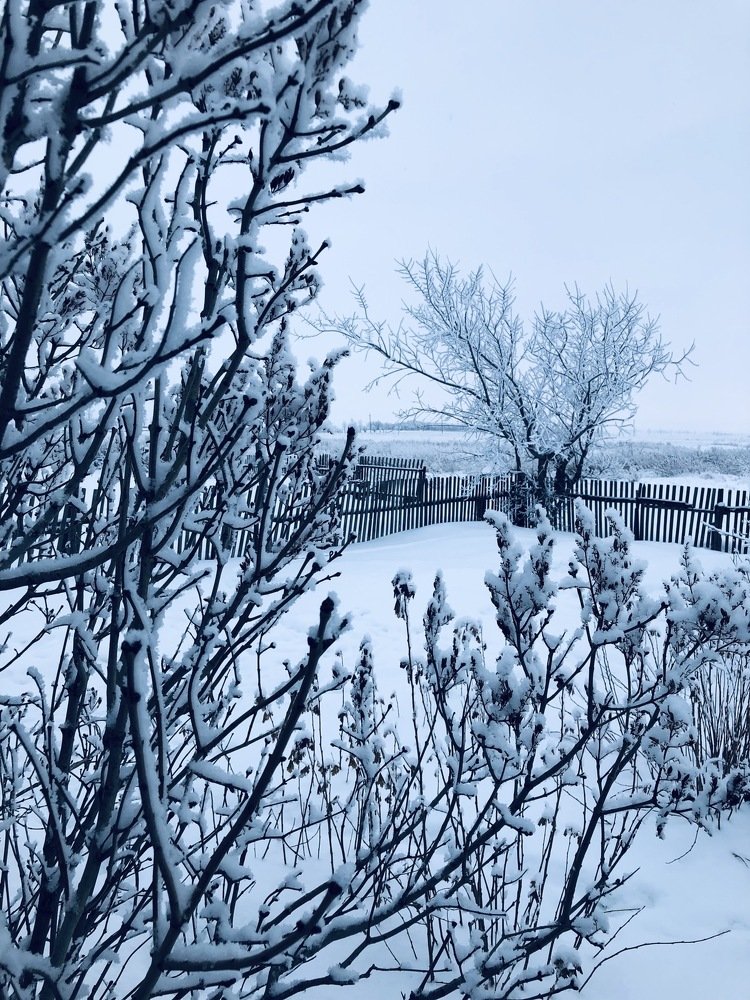 Photograph by Ilyas Adilbayev