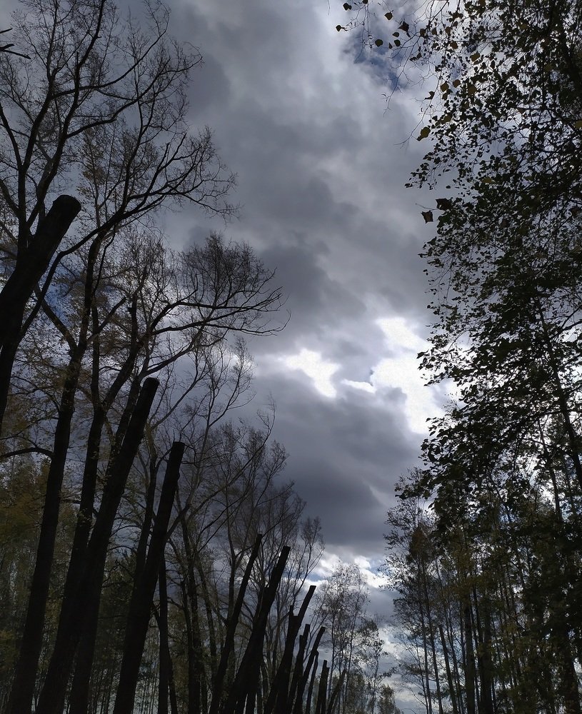 перед ураганом...