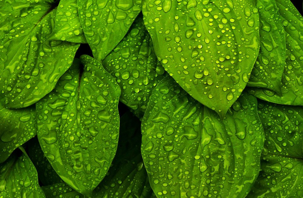 Photograph by Kelly Vivian