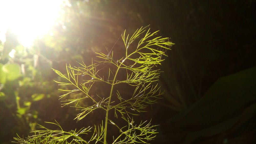 Photograph by Bhautik Lakhani