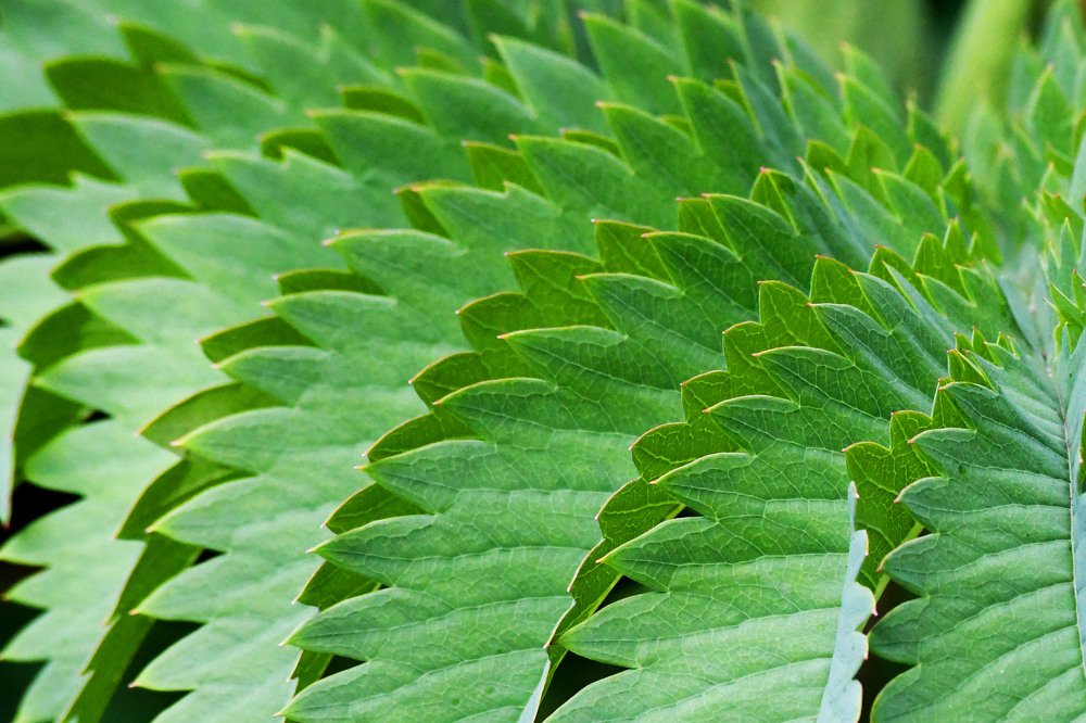 Photograph by Kelly Vivian