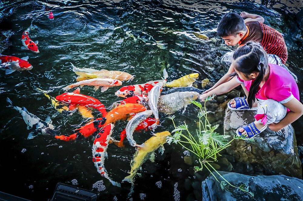 Photograph by Nguyễn Dương