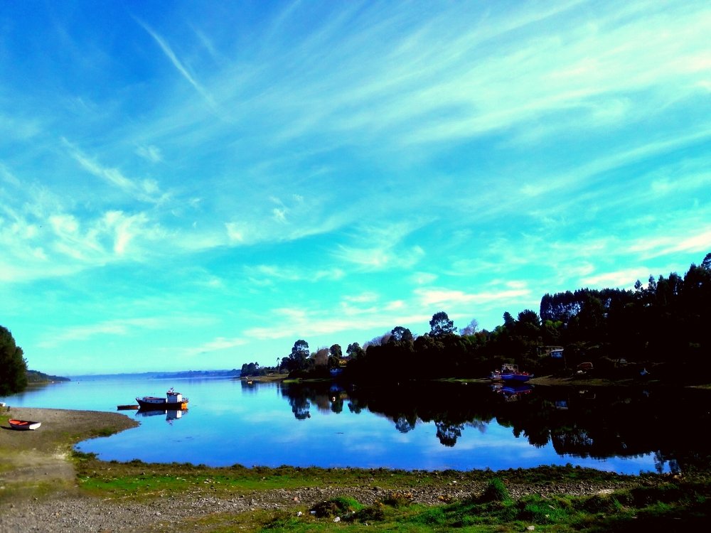 Photo #3657710