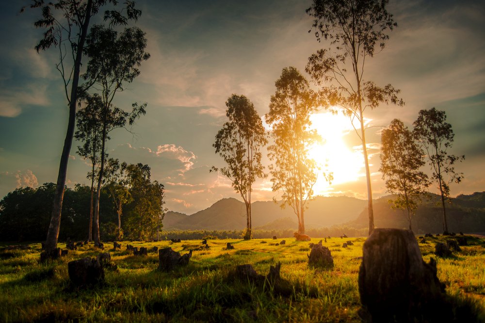 Photograph by Tiến Thịnh Đinh Văn