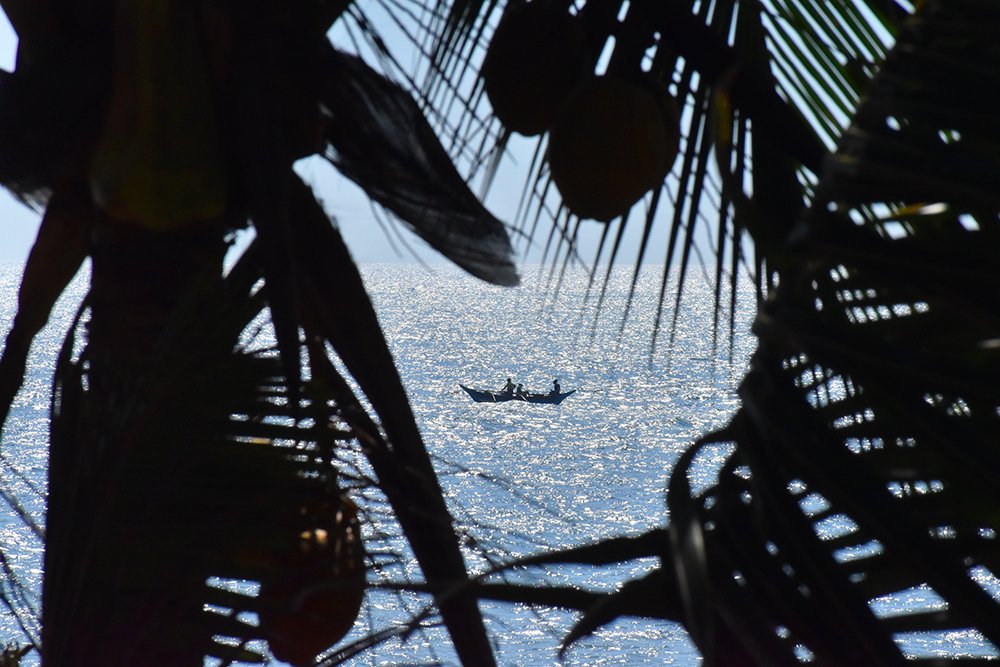 The Sea from the land!