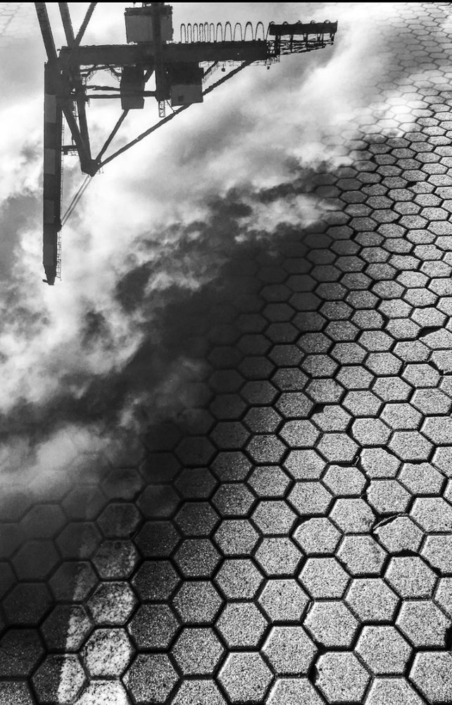 Photograph by federico