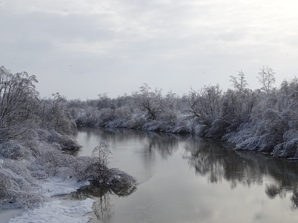 Фотография автора Remus Lucescu