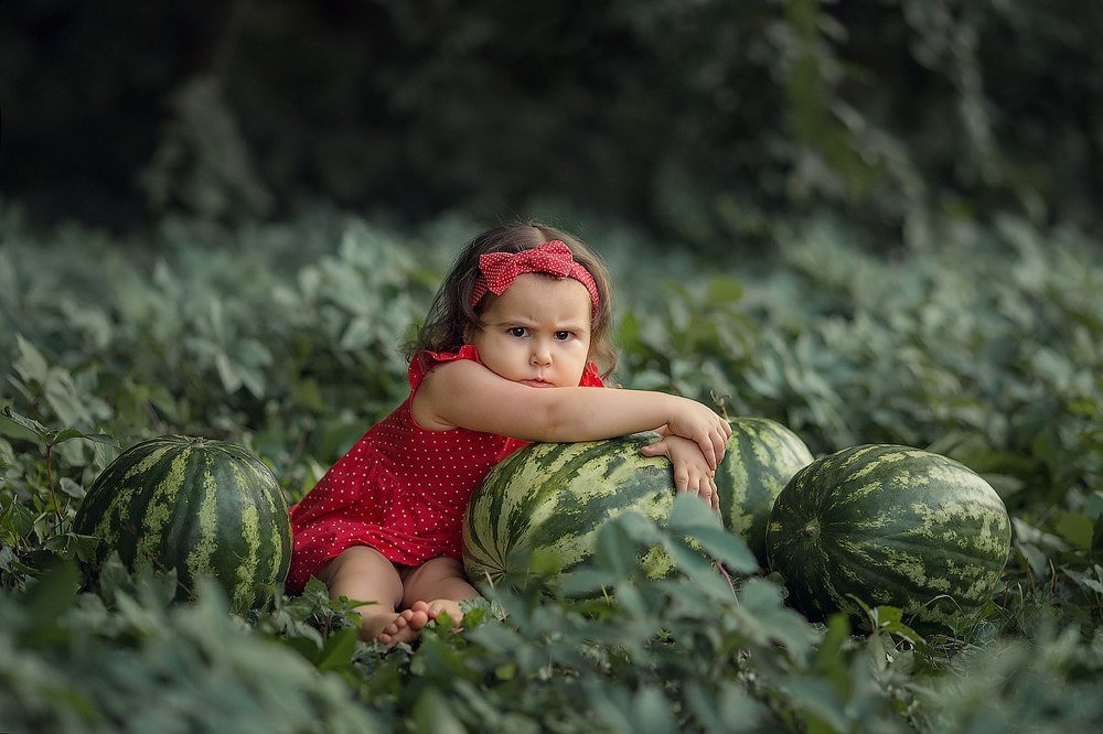 Photograph by Ольга Чекова