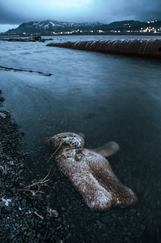 Photograph by Антон Кривошейцев