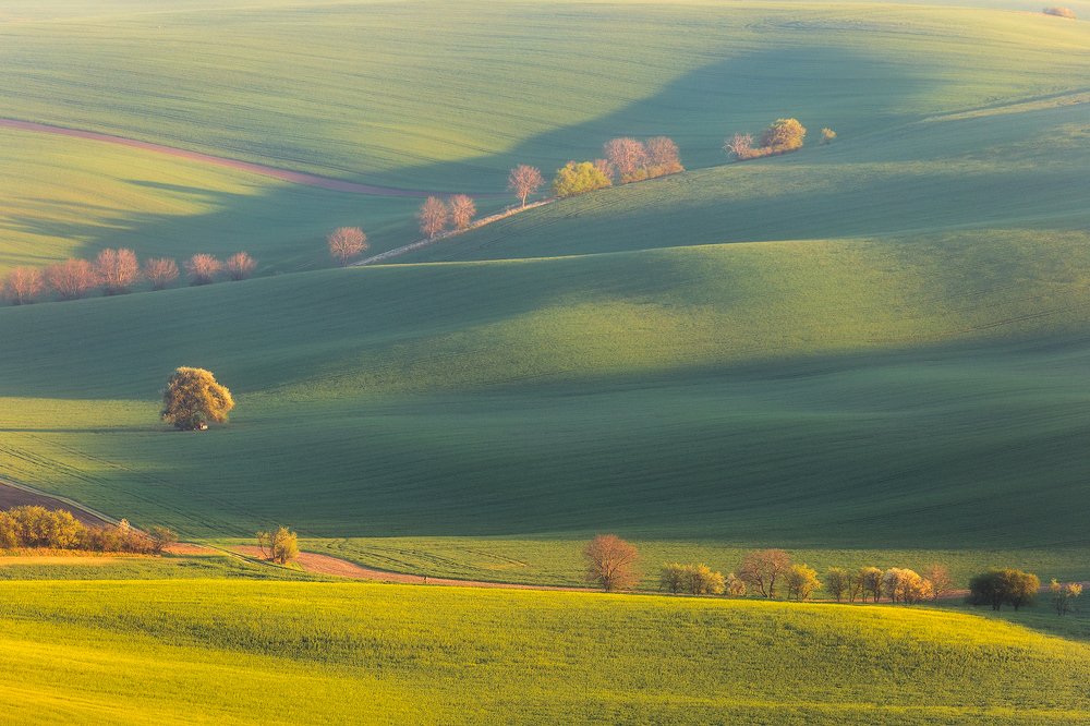 Просторы Южной Моравии