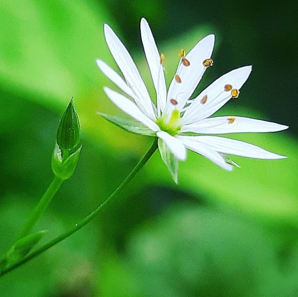 Photograph by Шепелев Дмитрий