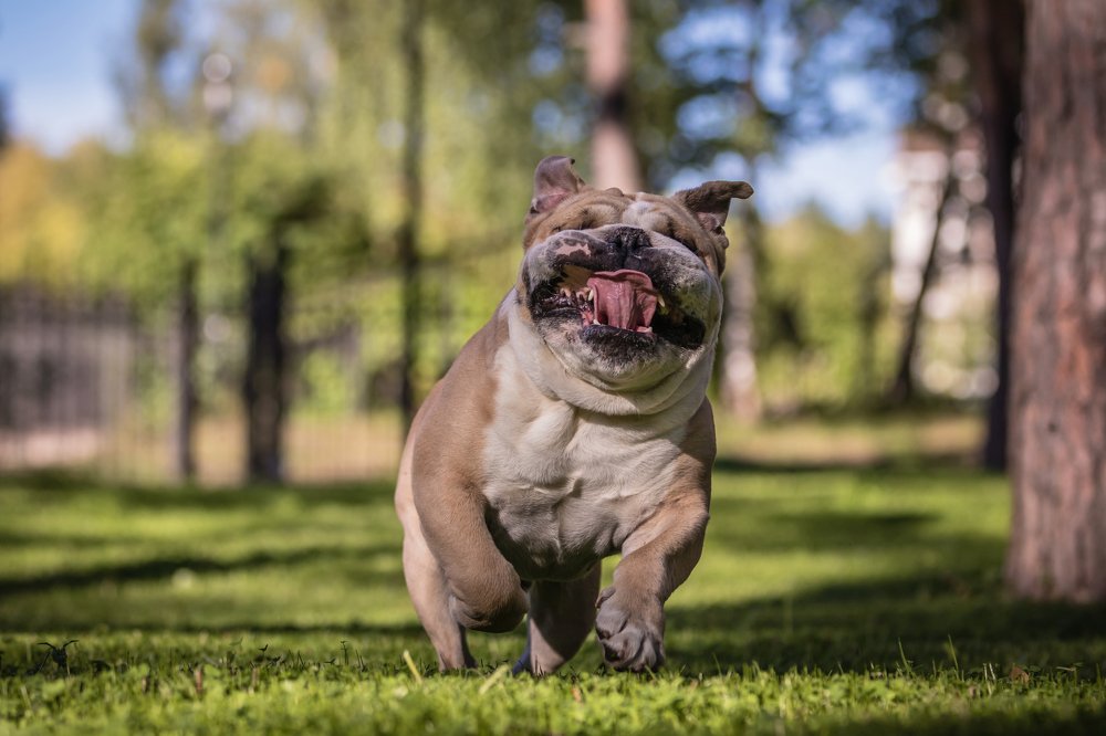 Photograph by Иван Кабалин