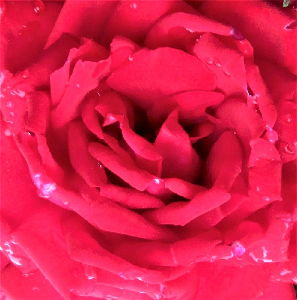 Photograph by Станислав Третьяков