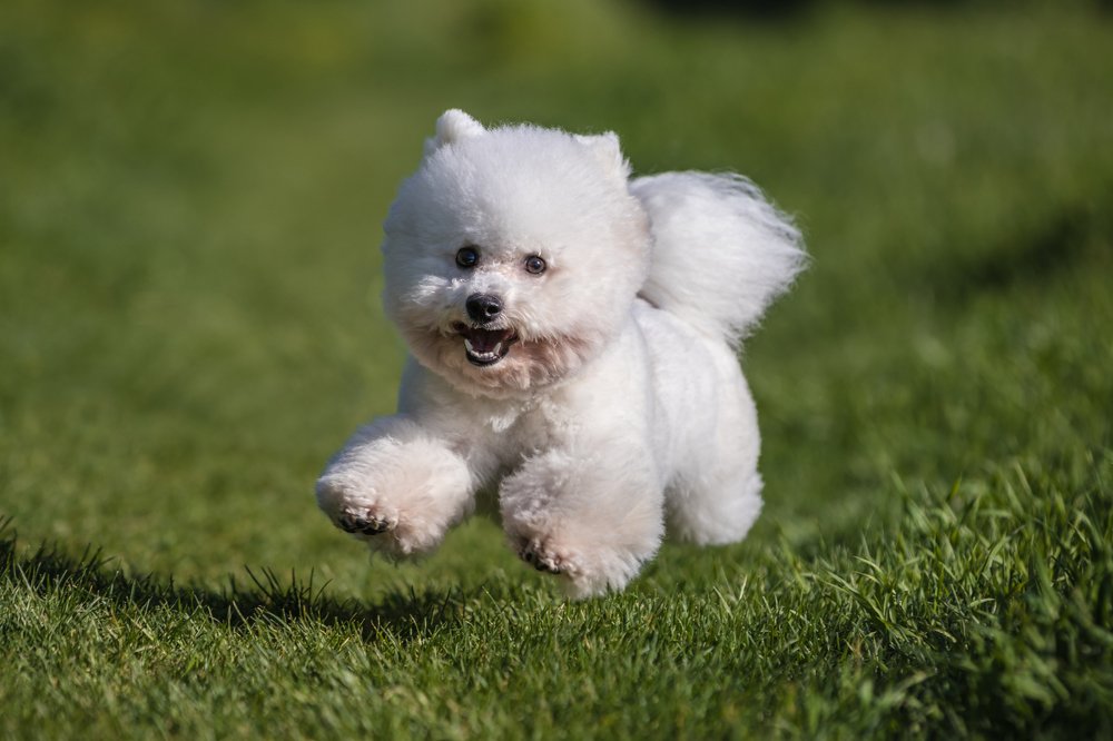 Photograph by Иван Кабалин