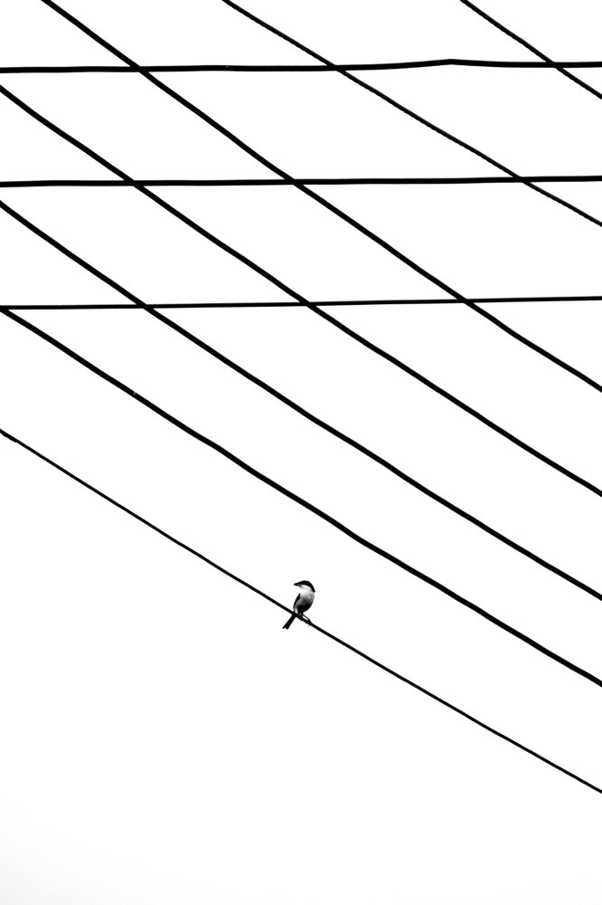 Фотография автора Solaiman Hossen