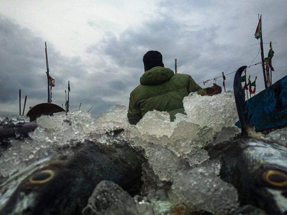 Photograph by Cheralaahthan SK