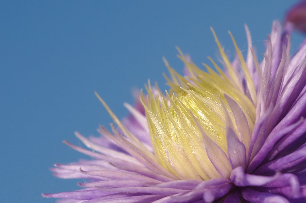 Photograph by Людмила Ефремова