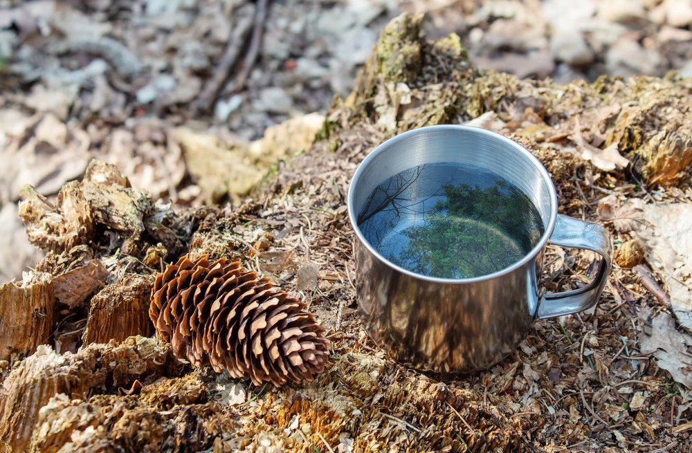 Photograph by Radomir