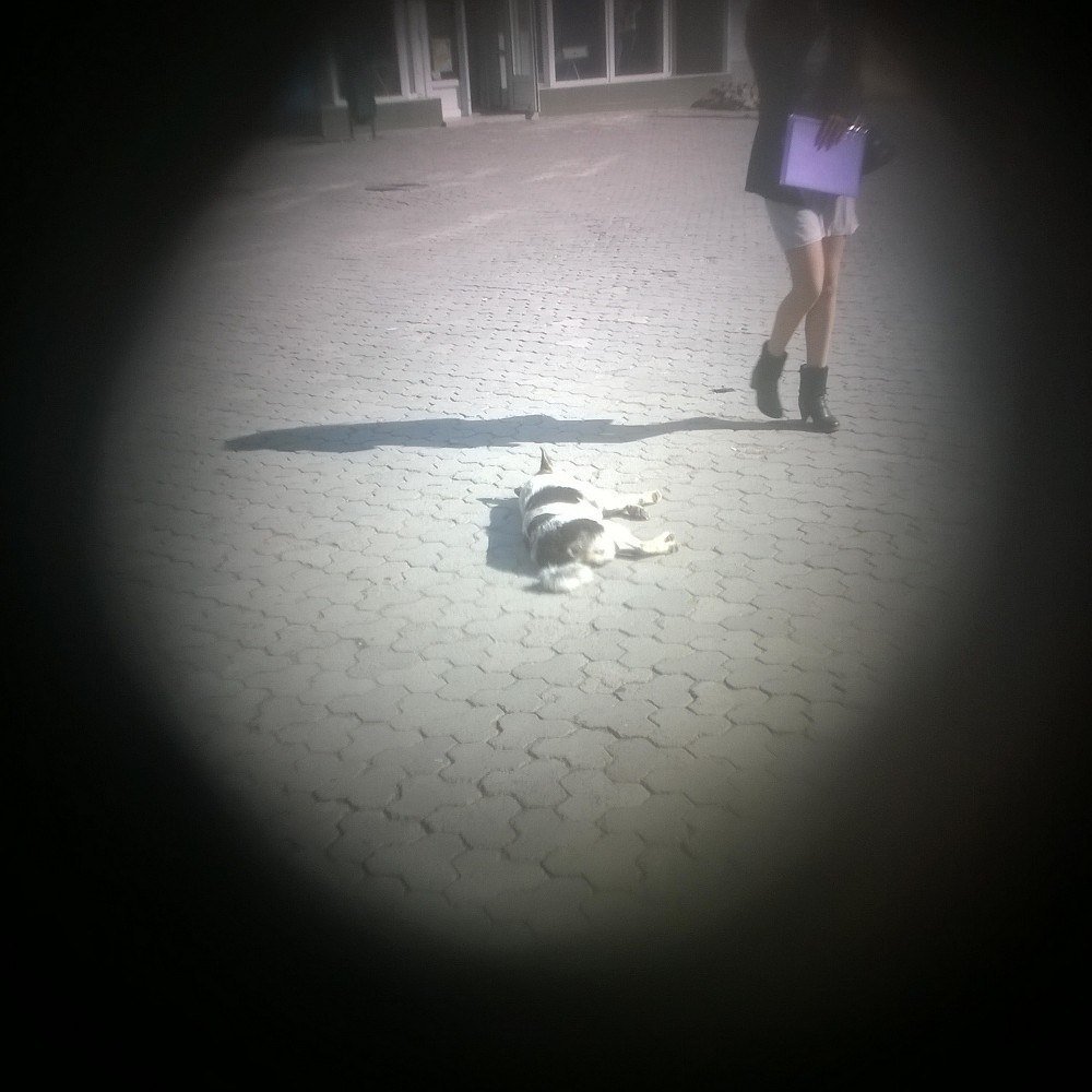 Photograph by Віталій Керестен