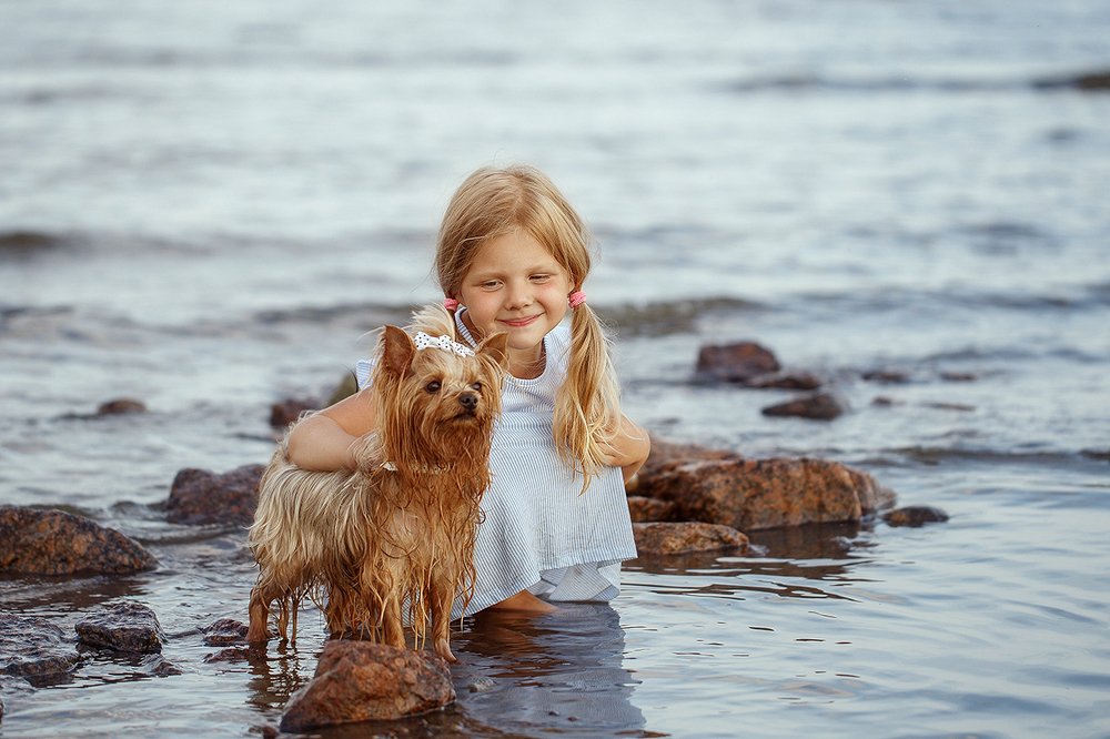 Фотография автора Вера Гресс