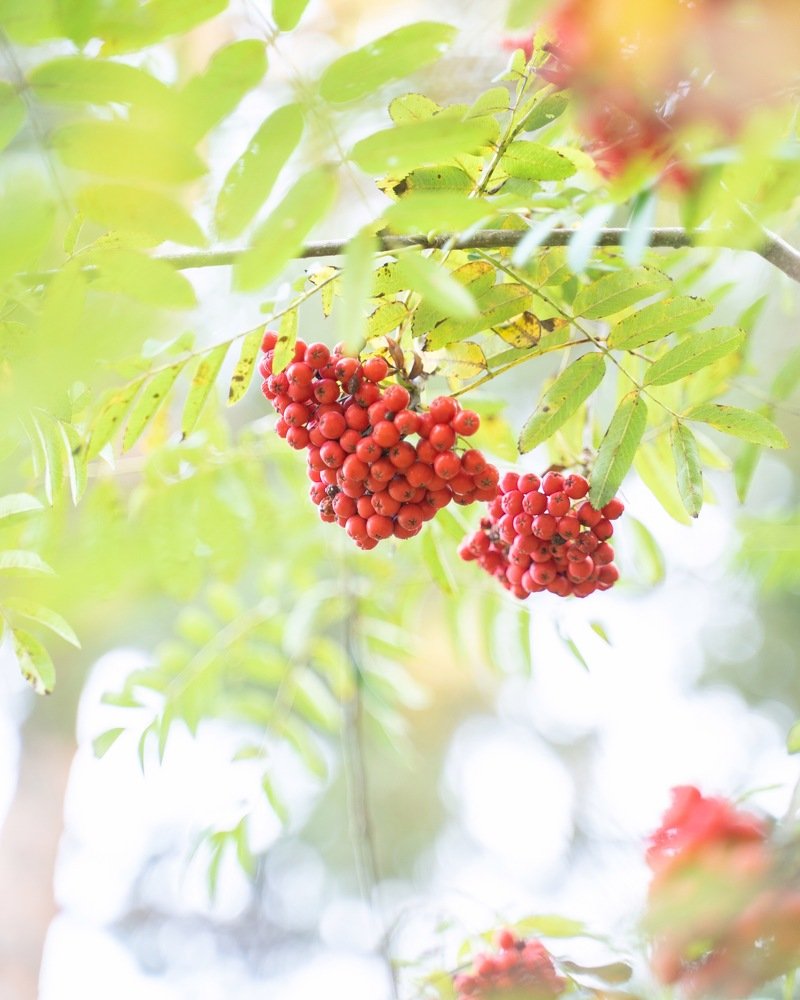 Photograph by Борис Киселев