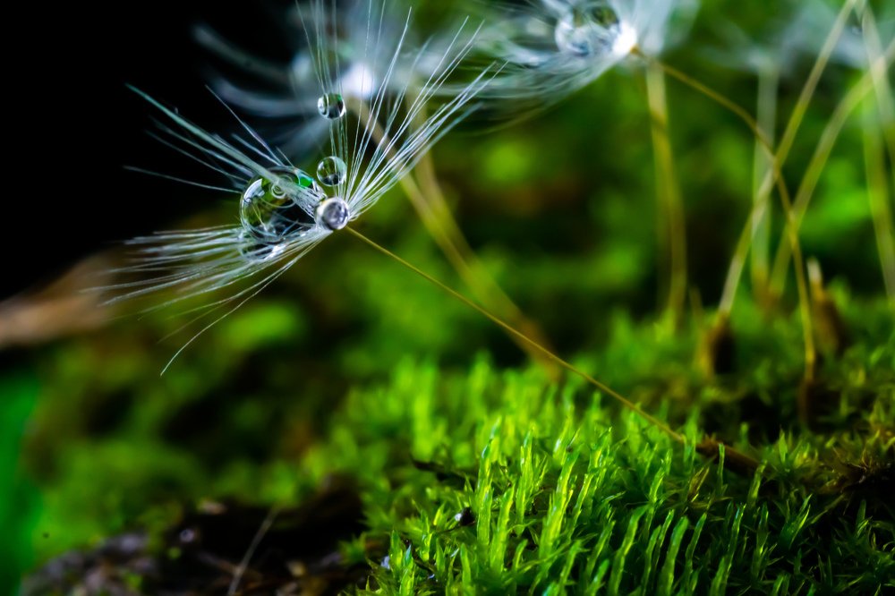 Photograph by Екатерина Моргун