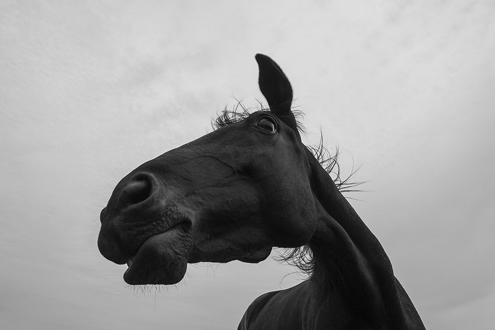 Photograph by Игорь Глазунов