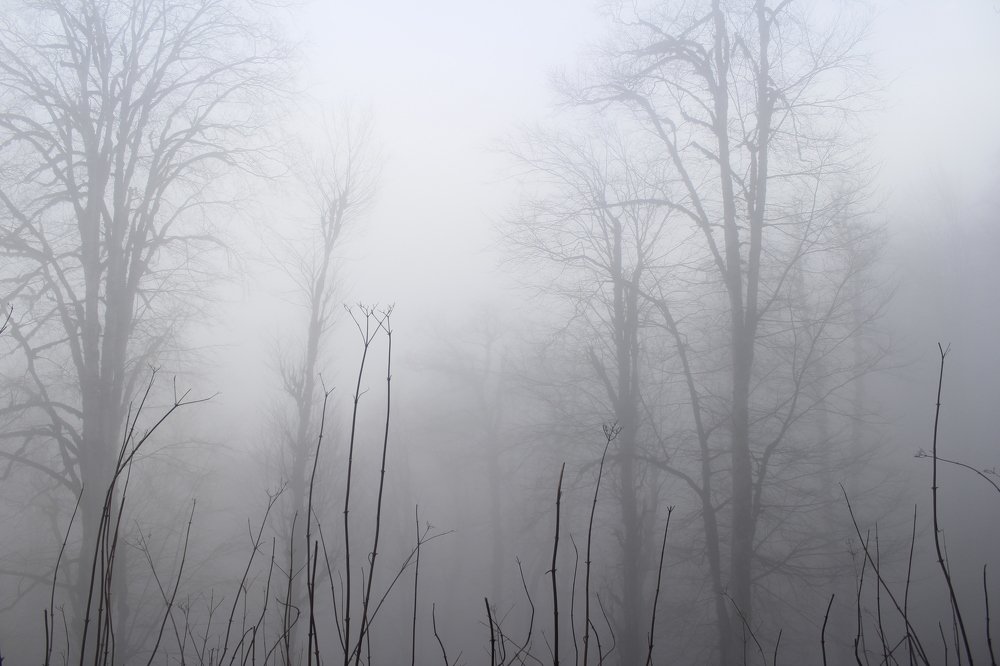 Photograph by Reyhane Ameri Pouya