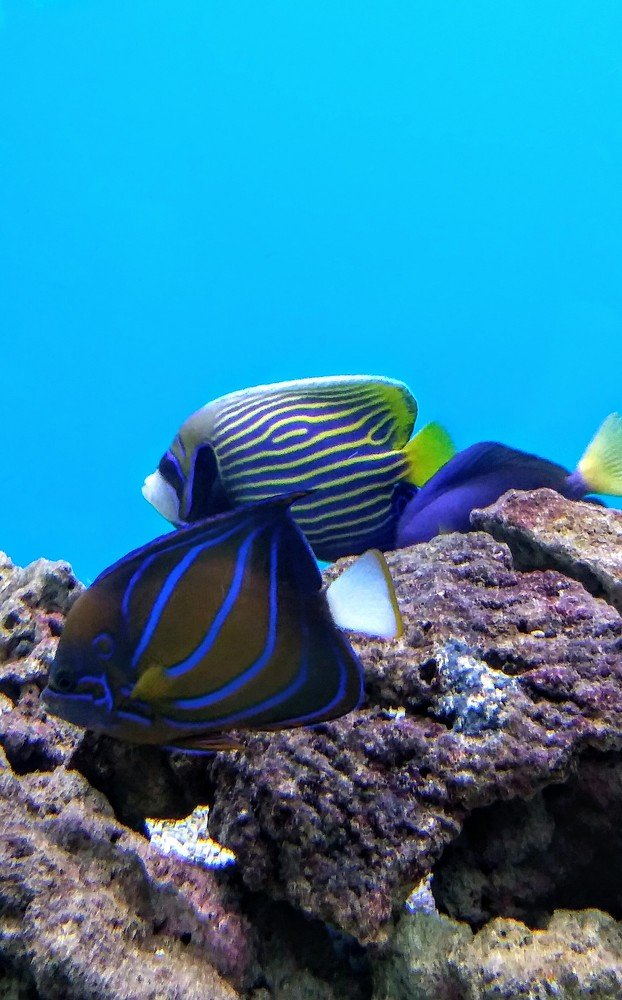 Photograph by Ольга Велитченко