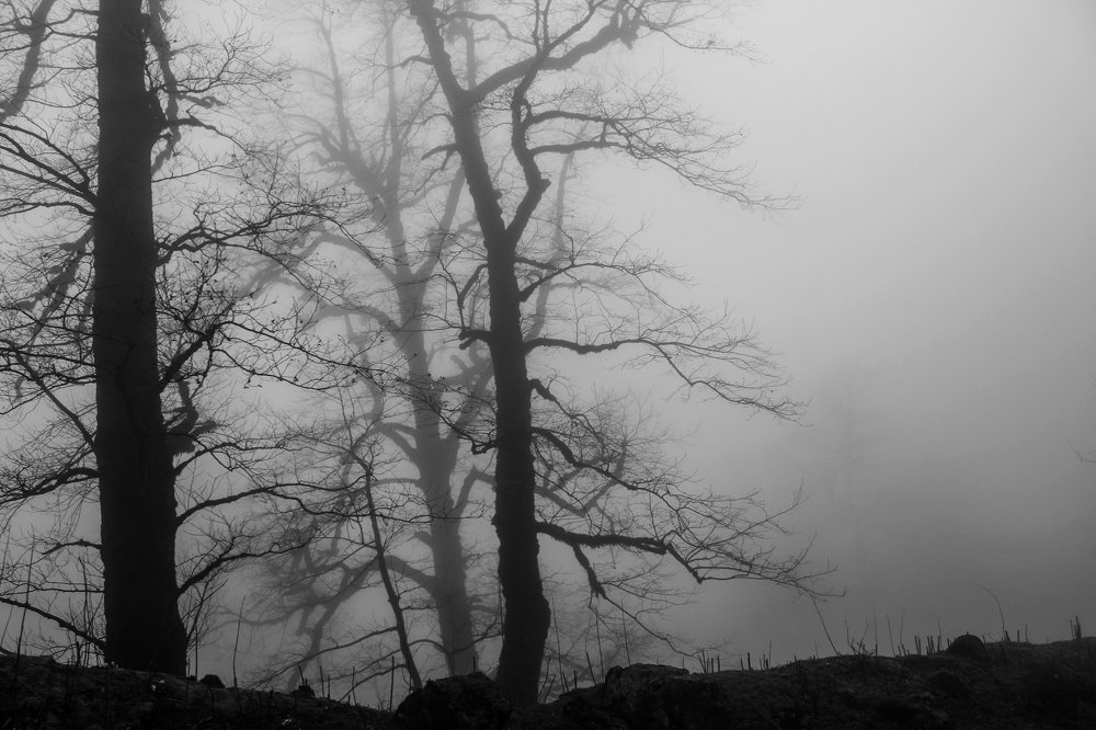 Photograph by Reyhane Ameri Pouya