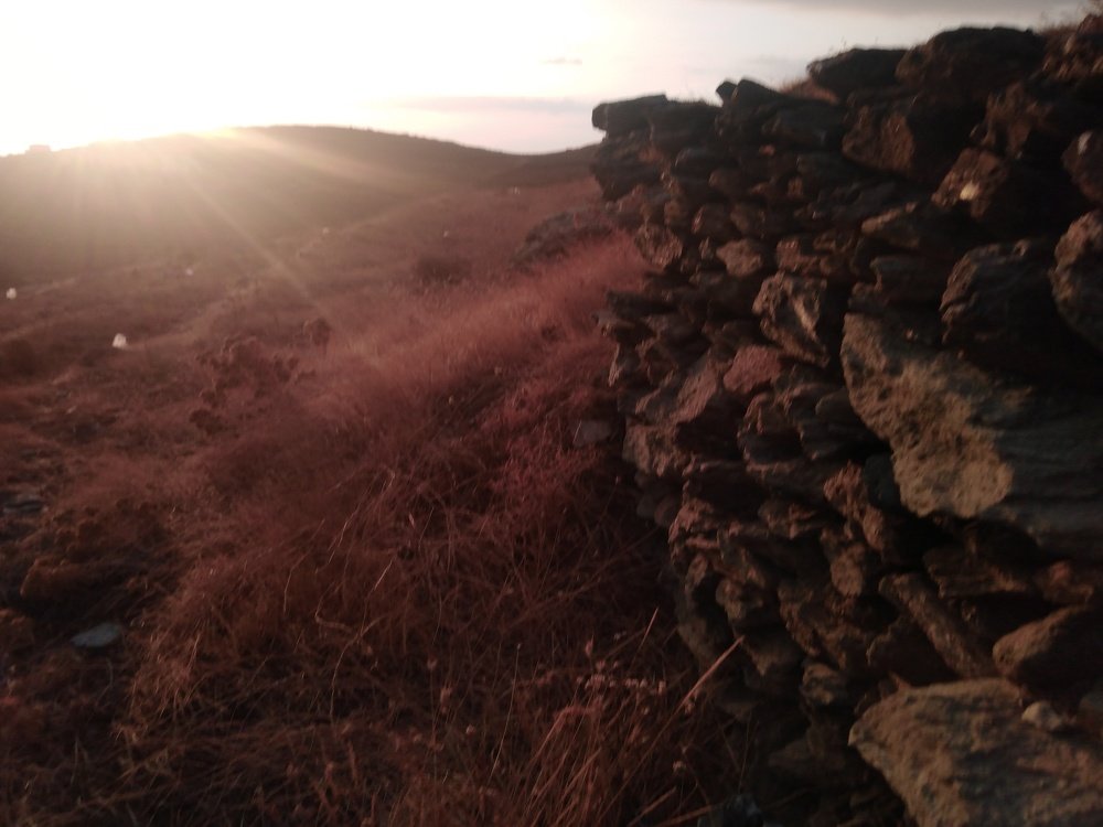 Photo #3658660