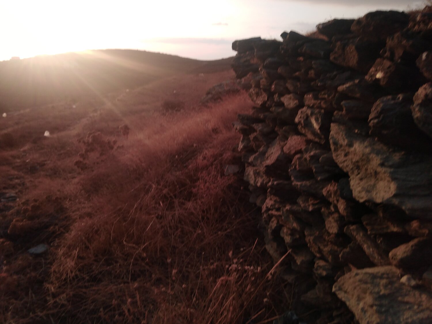 Photo #3658660