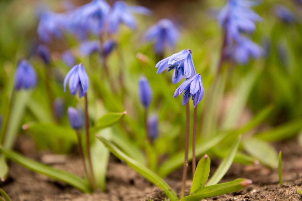 Photograph by Елена Терновая