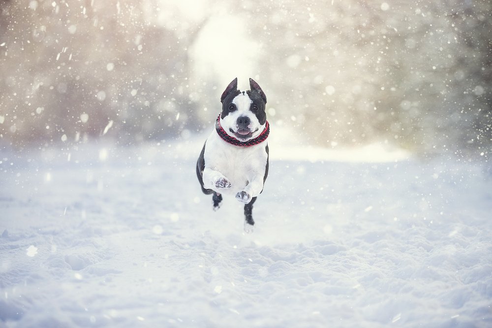 Photograph by Галина Ледок