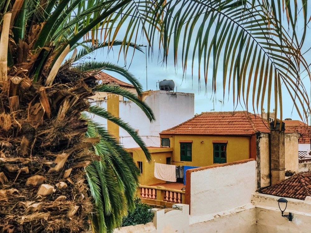 Photograph by Саша Настоящая