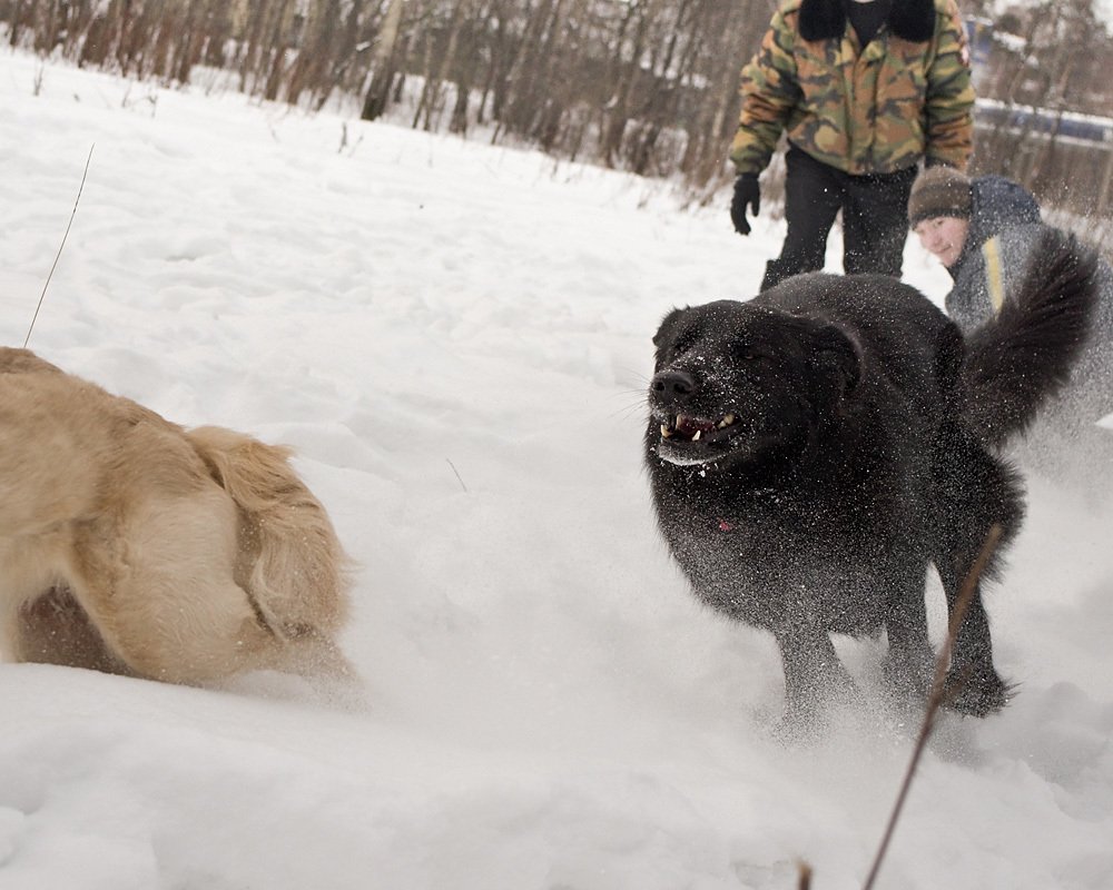 Фотография автора Ирина Белотурова