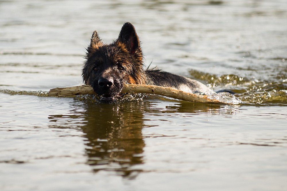 Фотография автора Ирина Белотурова