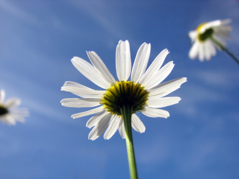 Photograph by Ірина Шандрук