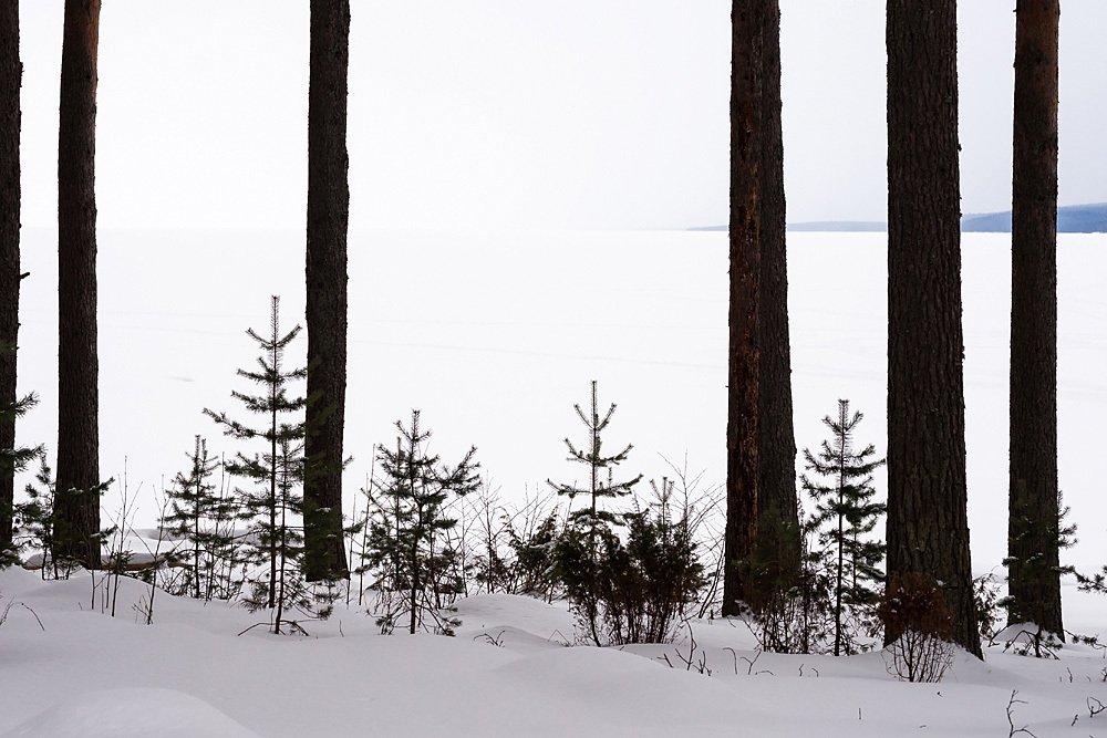 Фотография автора Ирина Белотурова