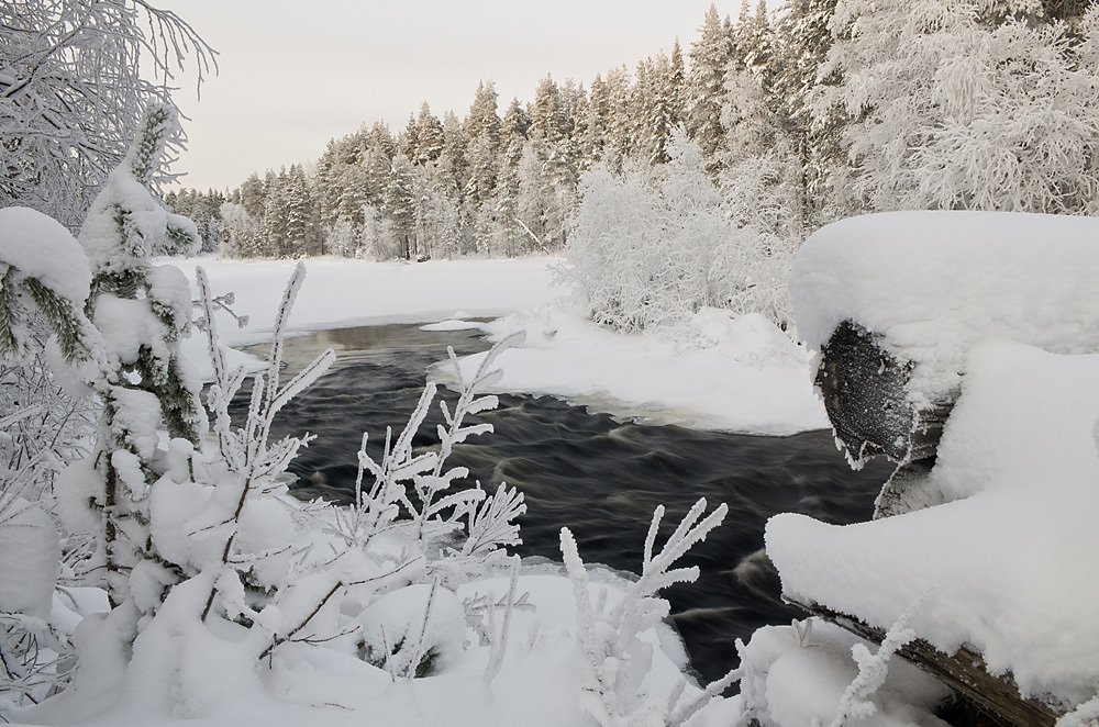 Фотография автора Ирина Белотурова