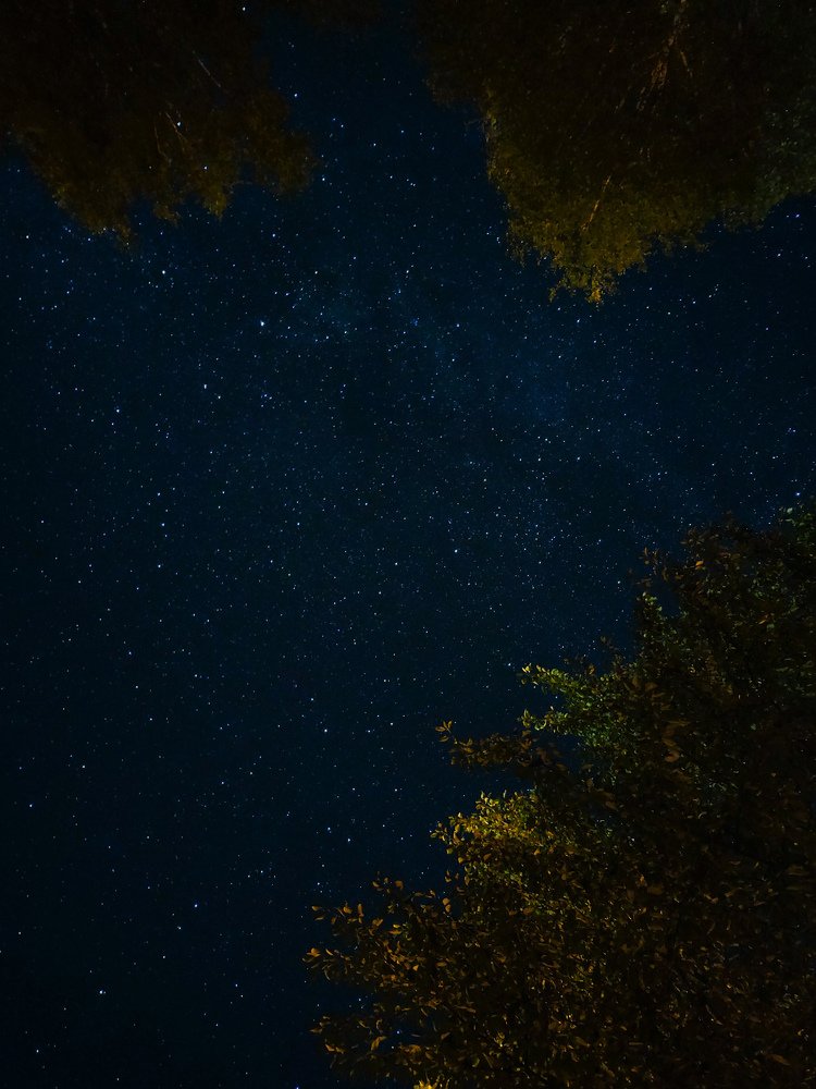 Звездное небо