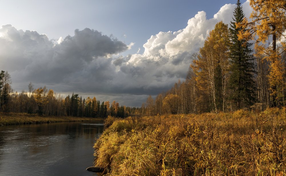 Таёжная река