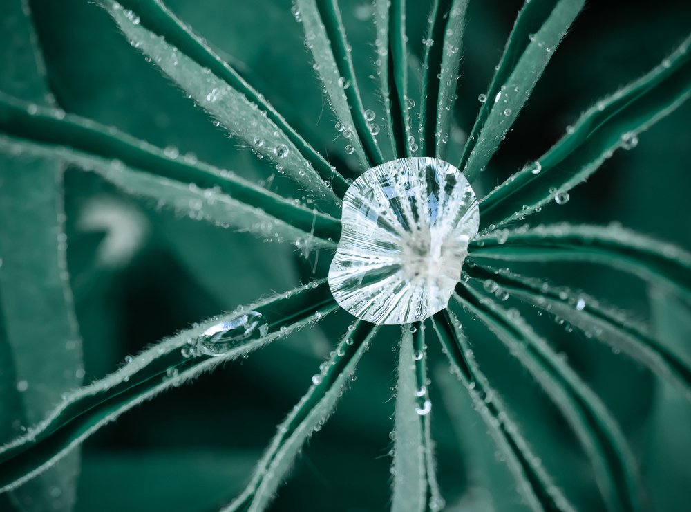 Photograph by Мария Милюхина