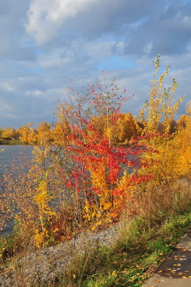 Photograph by Николай Турский