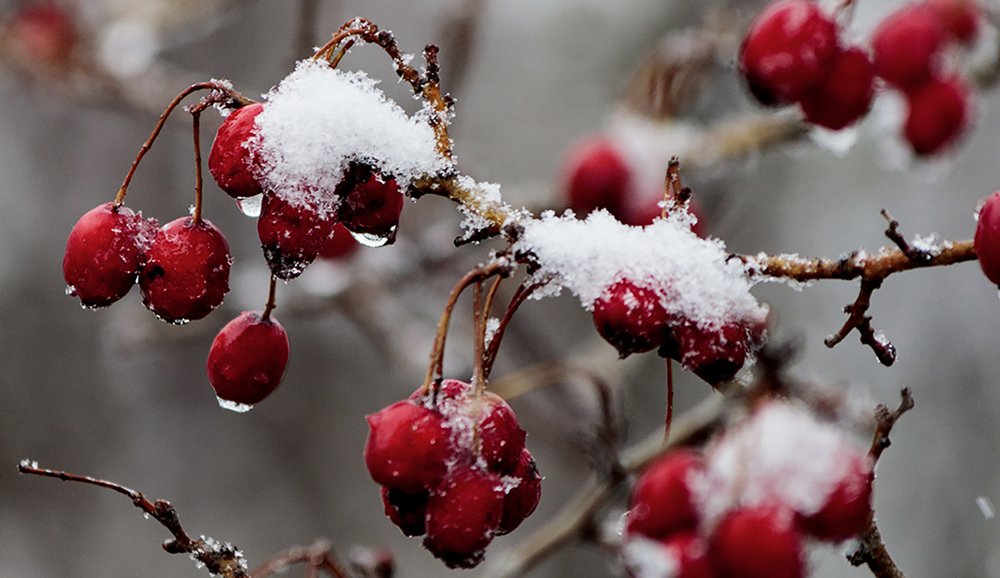 Photograph by Alex Kalpus