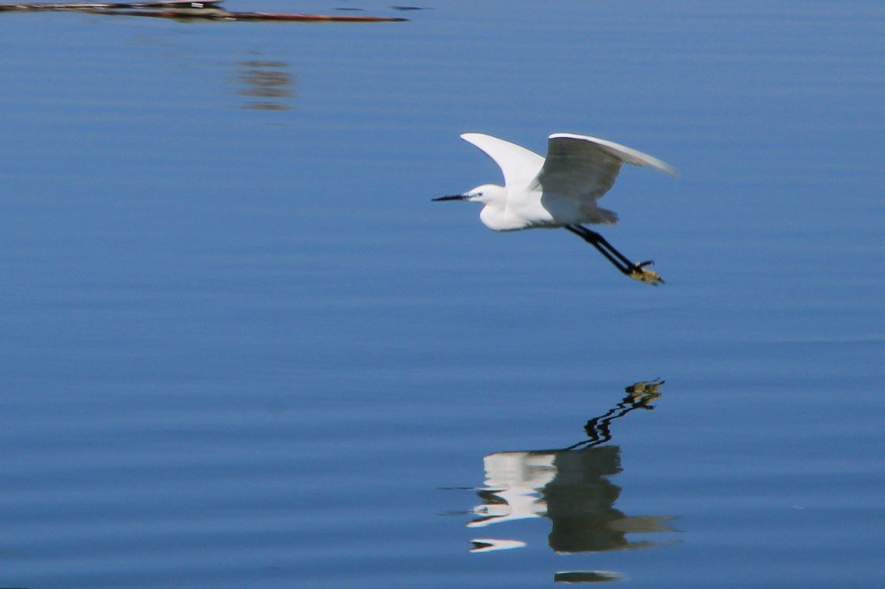 Photograph by Recep Canbek