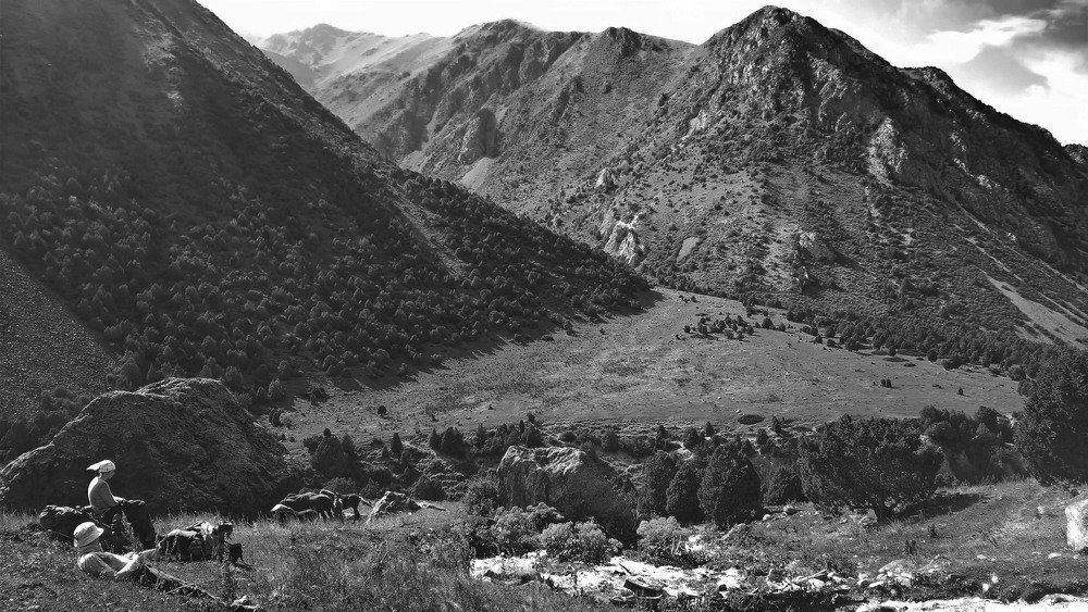 Photograph by Антон